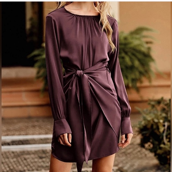 Pretty Garden Size Large Satin Long Sleeved Mini Dress in Chocolate - Picture 3 of 7